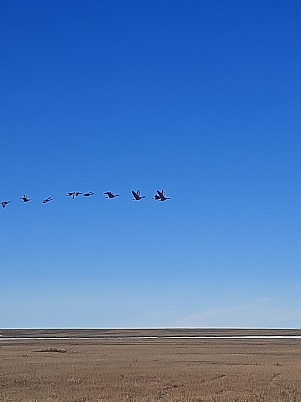 3 День
